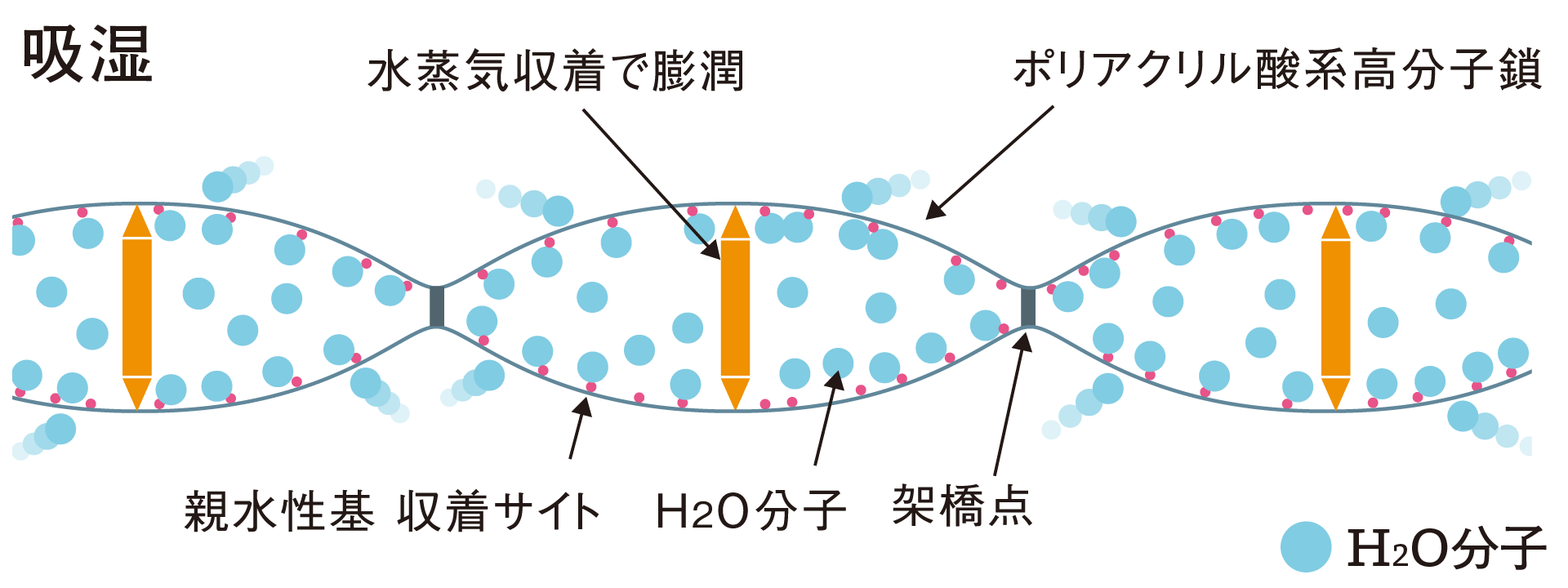 吸湿の仕組み