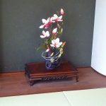 マリナ通り住宅展示場の花