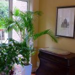 マリナ通り住宅展示場の内観4