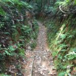 山道